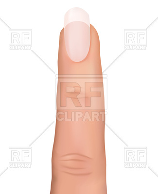 325x400 Finger With French Manicure Vector Image Vector Artwork Of
