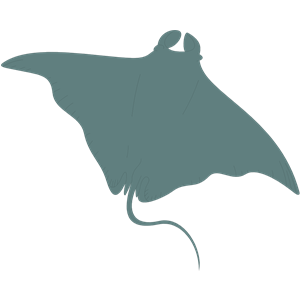 300x300 Manta Ray Cliparts 230538