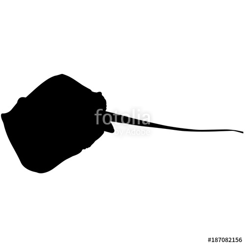 500x500 Manta Ray Silhouette Vector Graphics Stock Image And Royalty Free