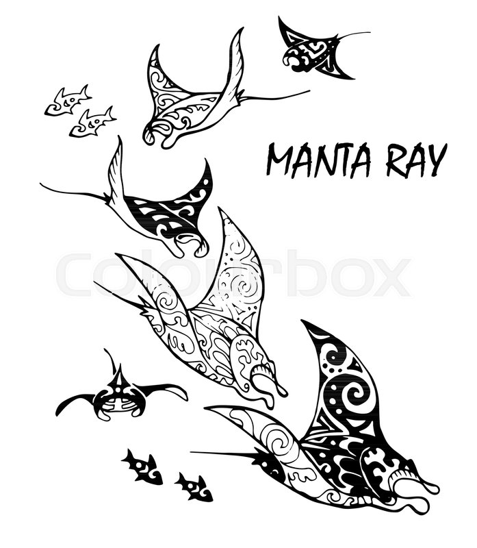 697x800 Manta Ray And Fish In The Sea , Vector Illustration Stock Vector