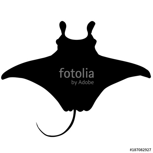 500x500 Ray Silhouette Vector Graphics Stock Image And Royalty Free