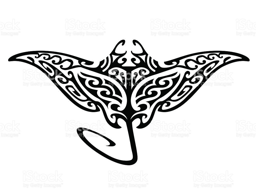 1024x769 Tribal Flying Manta Ray Vector Id134433762 Tattoos