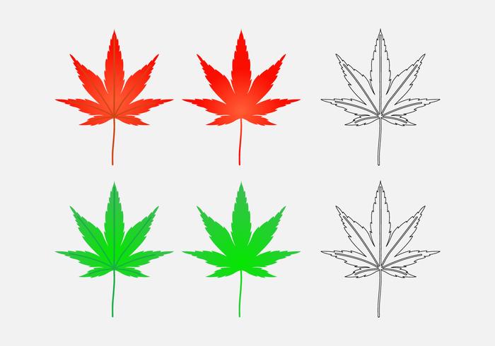 700x490 Japanese Maple Leaf Vectors
