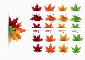 286x200 Maple Leaf Free Vector Art