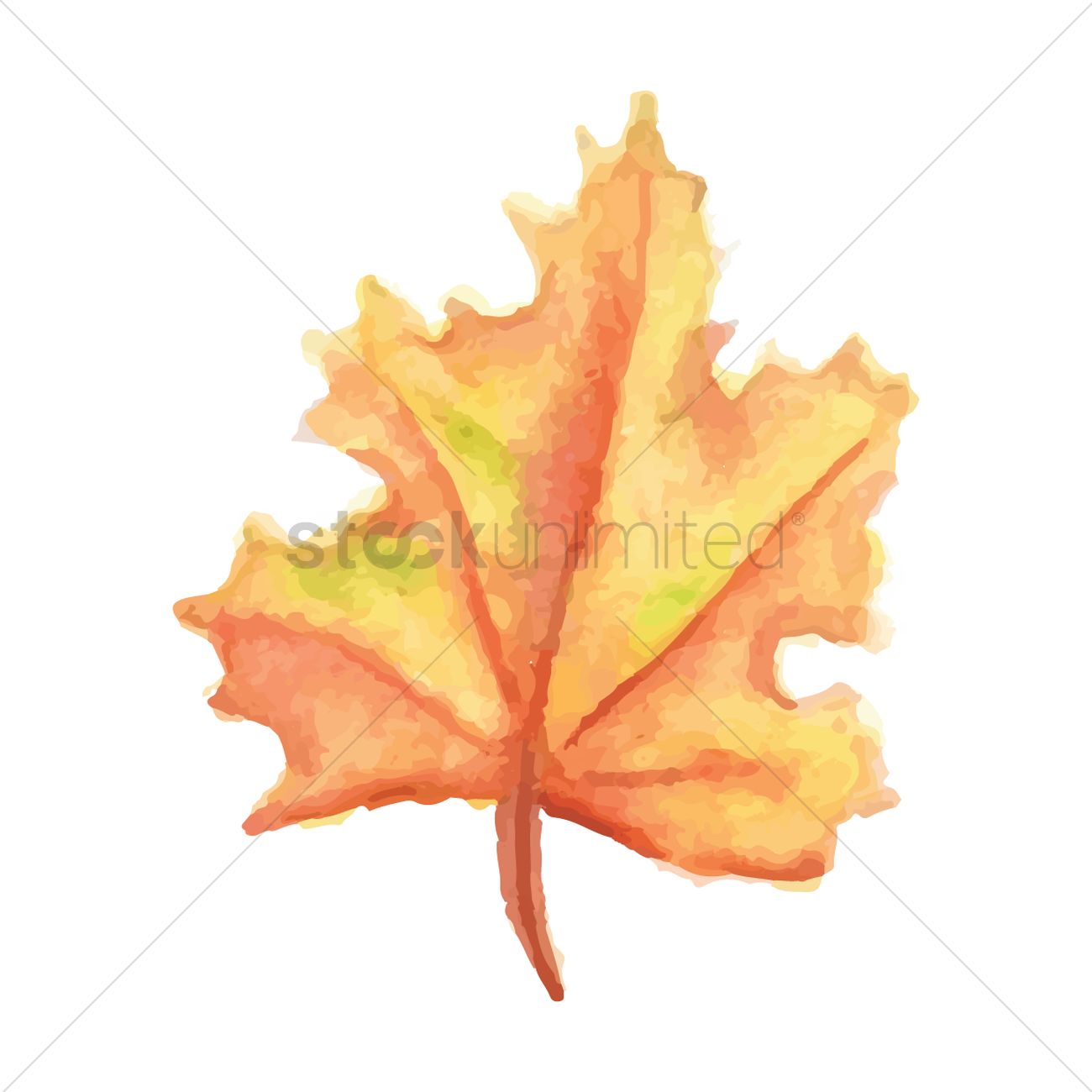 1300x1300 Maple Leaf Vector Image