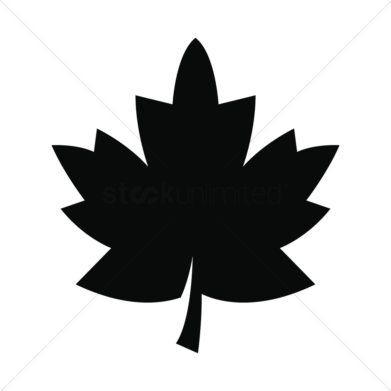 1300x1300 Maple Leaf Vector Image