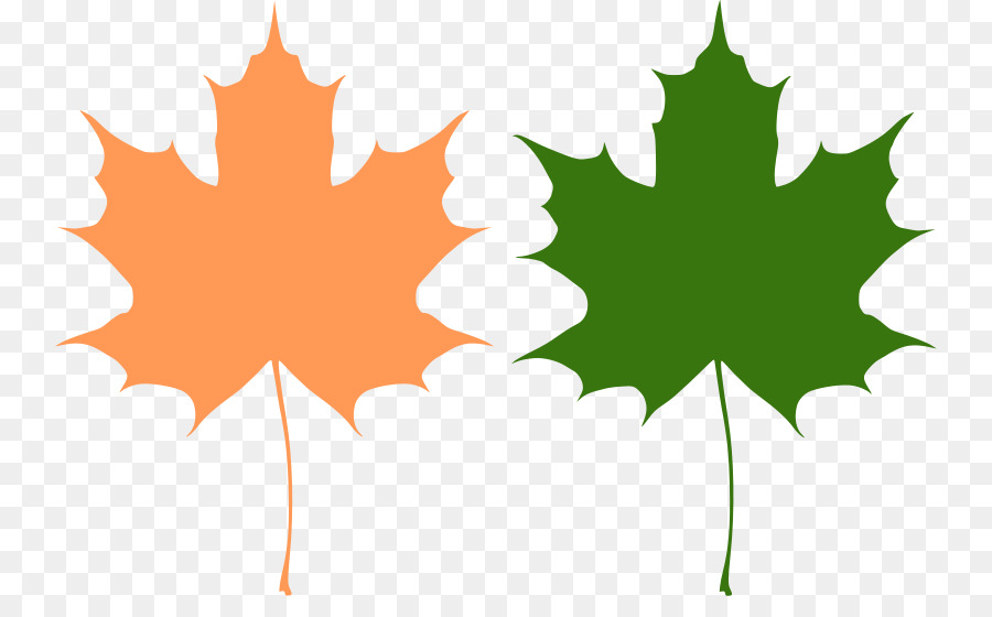 900x560 Canada Reviving Canadian Democracy Maple Leaf