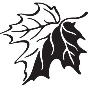 311x311 Canadian Maple Leaf Stock Vector Art Logo Black And White Icon