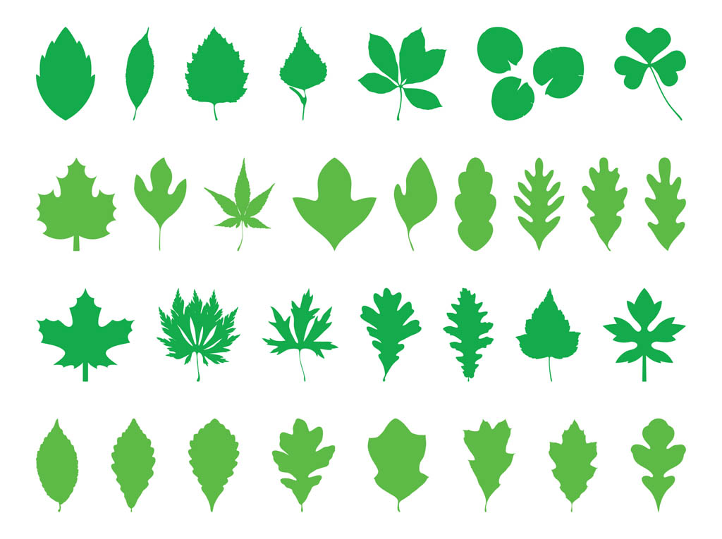 1024x765 Leaves Silhouettes Pack Vector Art Amp Graphics