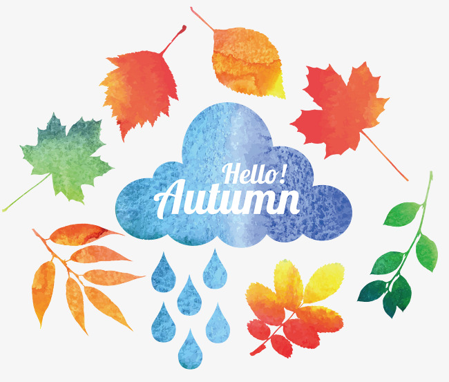 650x553 Maple Leaf Vector, Leaf Vector, Maple Leaves, Cartoon Hand Drawing