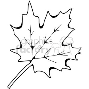 300x300 Royalty Free Sugar Maple Leaf 387458 Vector Clip Art Image