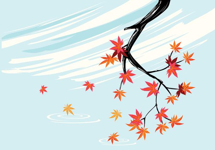 700x490 Smooth Japanese Maple Plant With Sky Background And Fall Maple