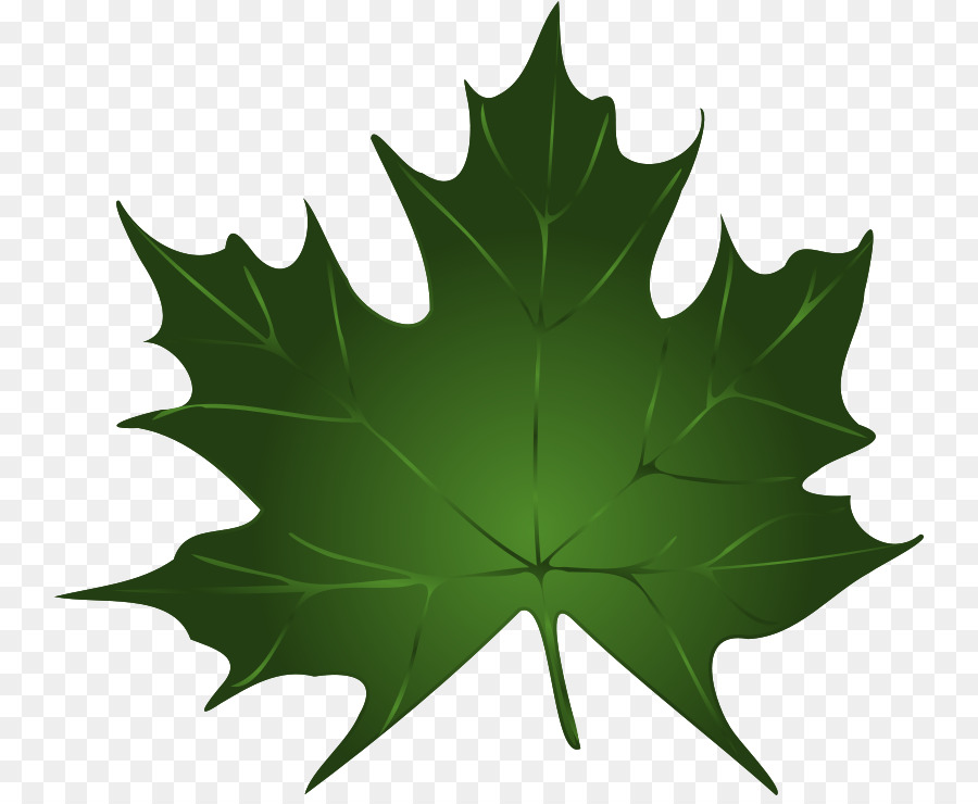 900x740 Download Green Maple Leaf Clip Art Maple Leaf Vector Free Download
