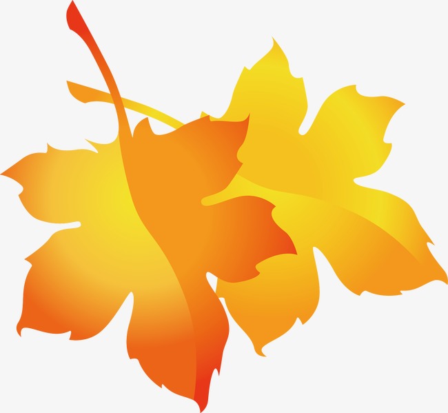 650x599 Maple Leaf Vector, Fall, Akiba, Leaf Png And Vector For Free Download