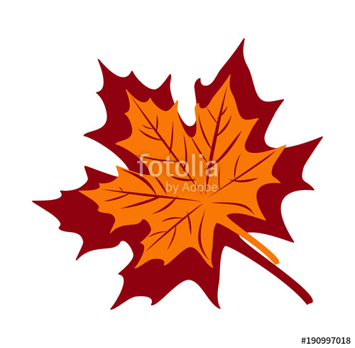 500x489 Maple Leaf Vector Illustration Stock Image And Royalty Free