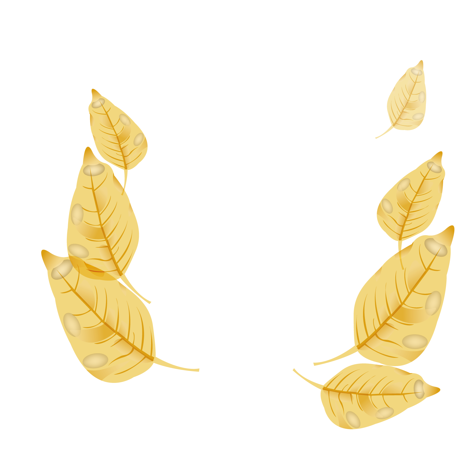 1500x1500 Maple Leaf