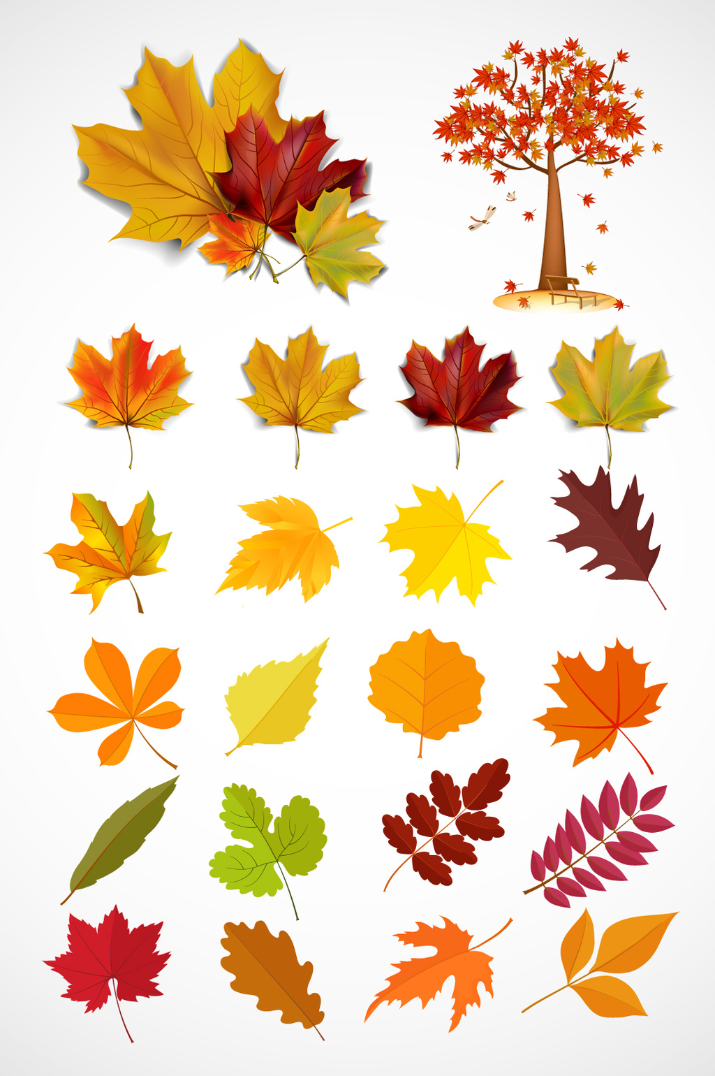 1024x1540 Autumn Maple Leaf Vector Material Free Download Pikbest