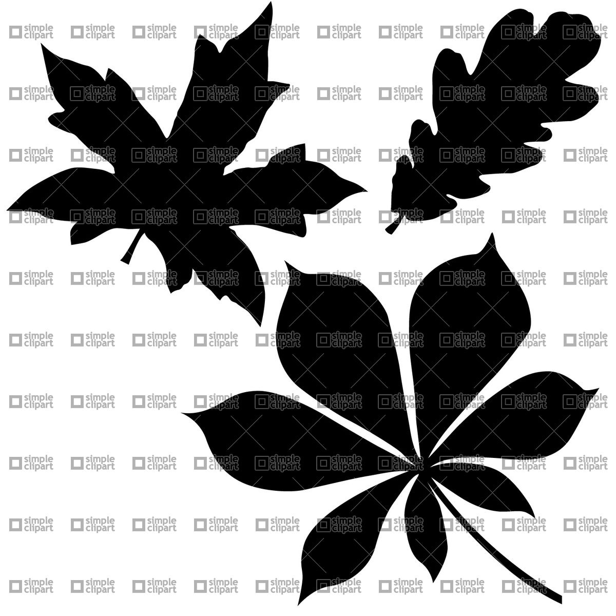 1200x1200 Oak, Chestnut And Maple Leaf Vector Image