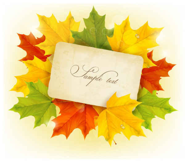 600x527 Free Beautiful Maple Leaf Psd Files, Vectors Amp Graphics