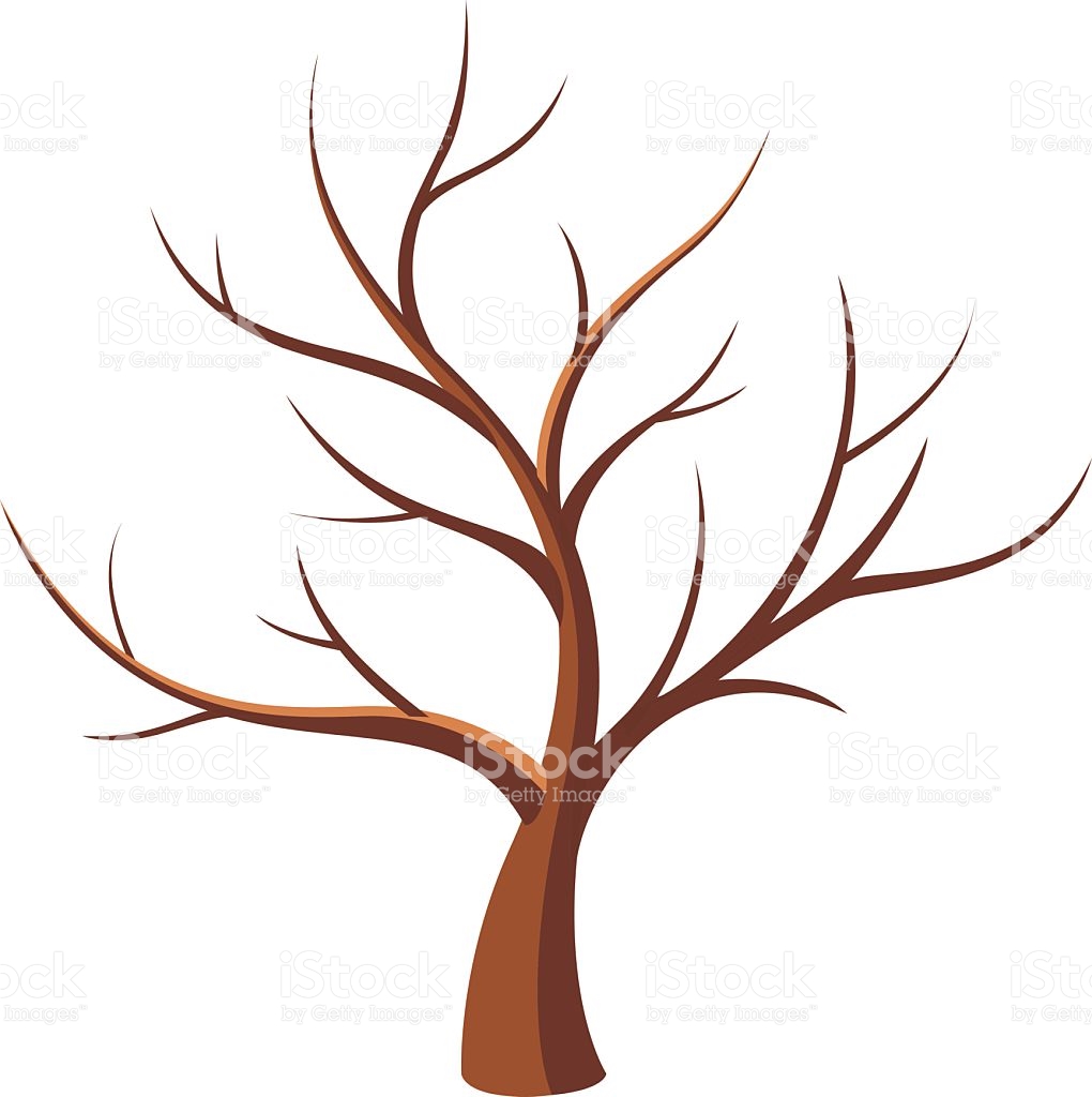 1020x1024 Clipart Vector Bare Maple Tree