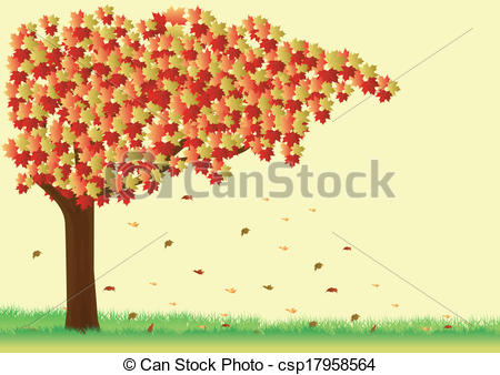 450x338 Maple Tree In Autumn Season.