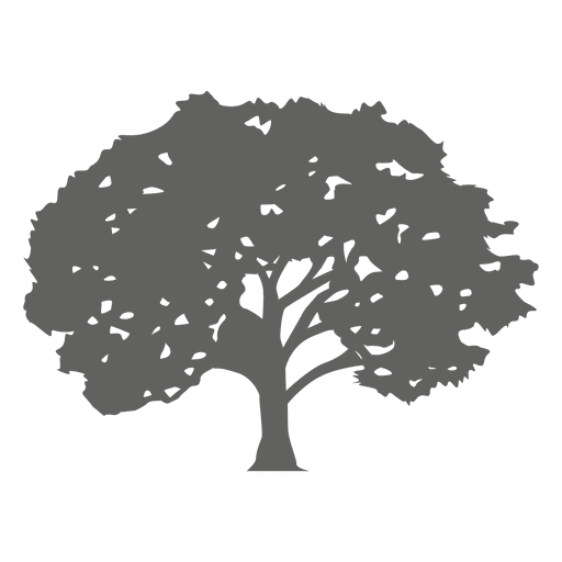 512x512 Maple Tree Silhouette 1