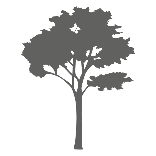 512x512 Maple Tree Silhouette 2