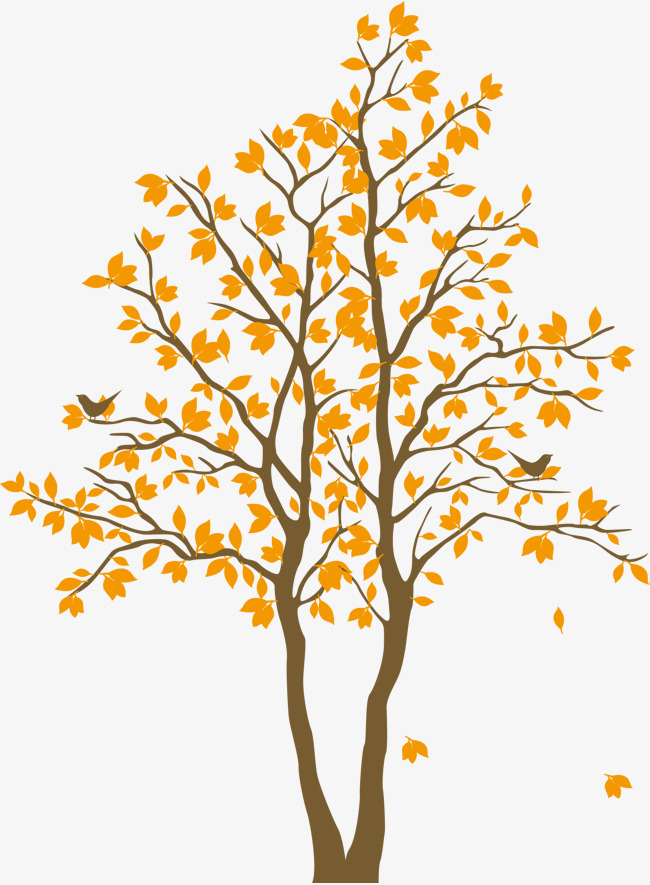 650x885 Yellow Maple Tree, Vector Maple Leaf, Big Tree, Yellow Png And
