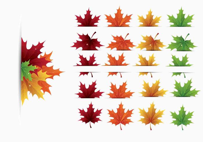 700x490 Maple Leaves Vector Pack