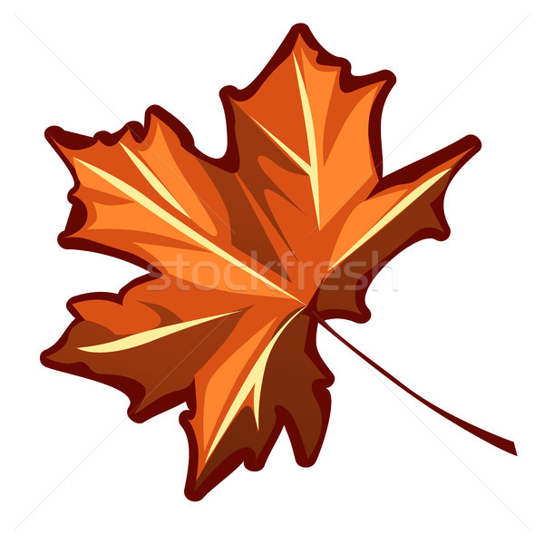 600x600 Maple Leaf Stock Vectors, Illustrations And Cliparts Stockfresh