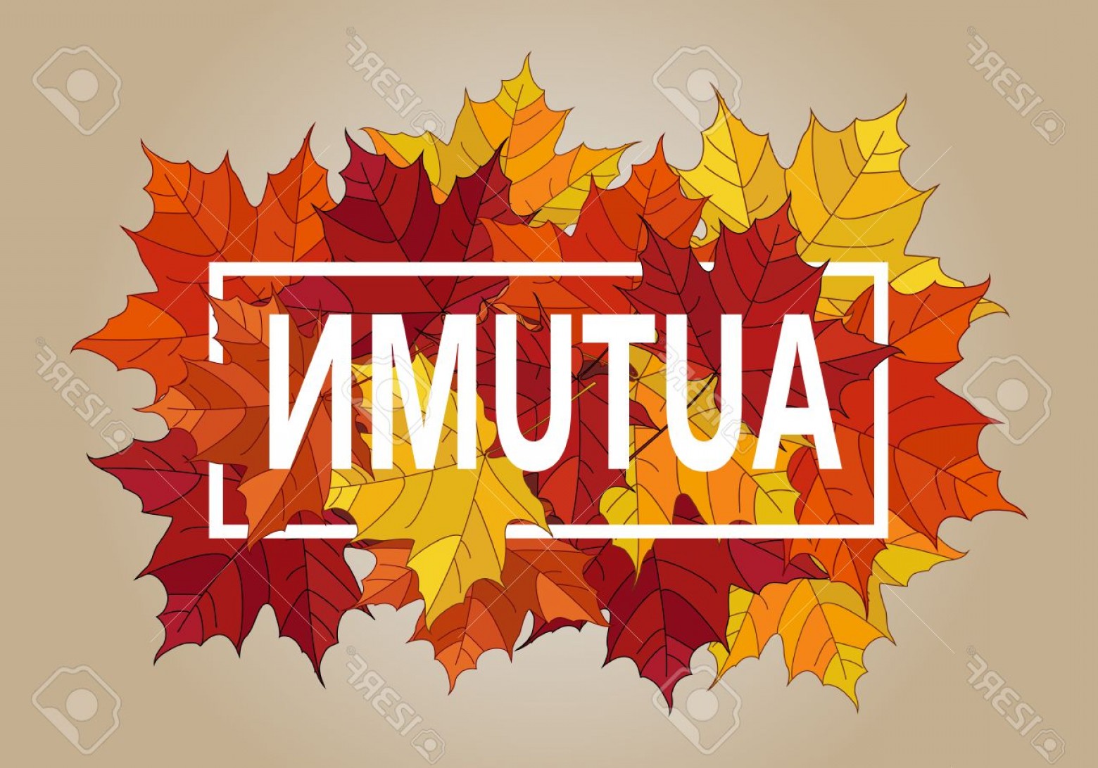 1560x1092 Photostock Vector Autumn Vector Banner Pile Of Leaves Maple Autumn