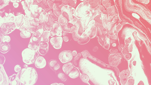 600x340 Marble Textures