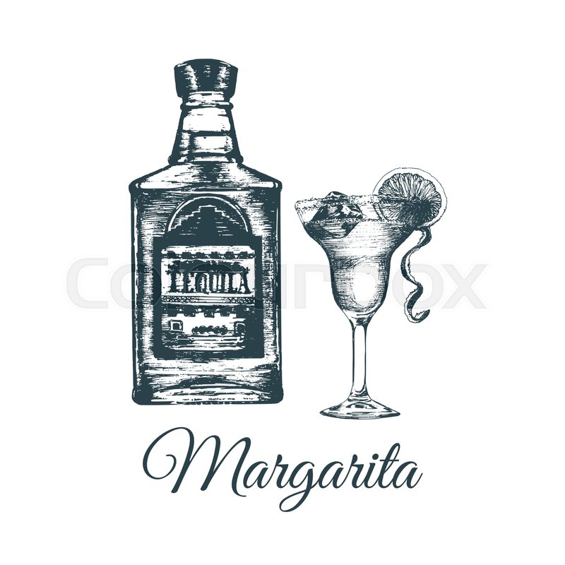 800x800 Hand Sketched Tequila Bottle And Margarita Glass. Alcoholic Drink