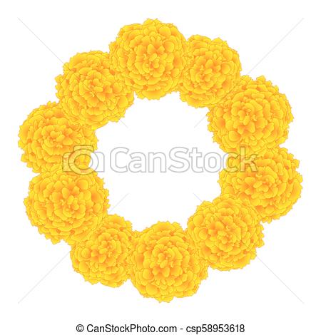 450x470 Marigold Flower