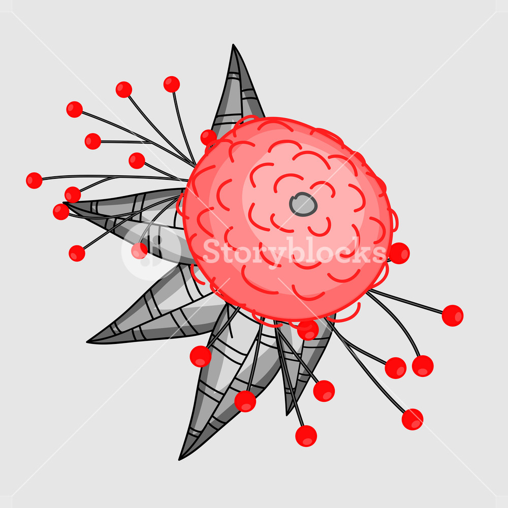 1000x1000 Red Marigold Flower Vector Illustration Royalty Free Stock Image