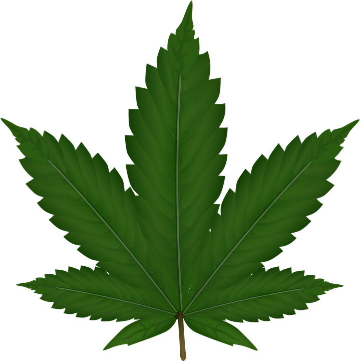 719x720 Marijuana Clipart Leaf Vector