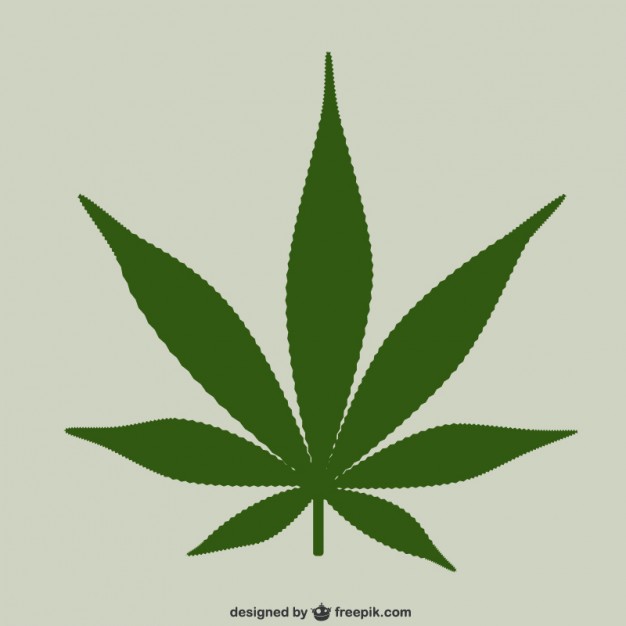 626x626 Marijuana Leaf Vector Vector Free Download
