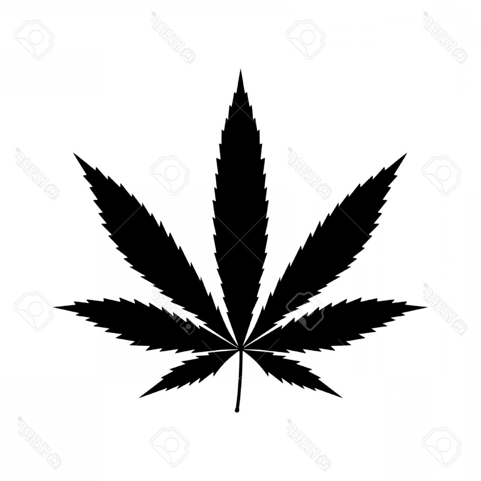 1560x1560 Pot Leaf Vector Lazttweet