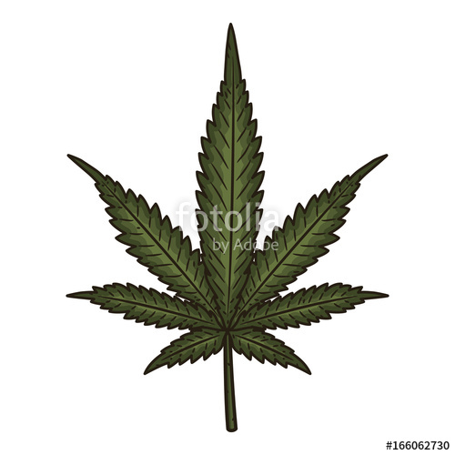 500x500 A Cannabis Leaf. Marijuana Leaf. Vector Illustration Isolated On