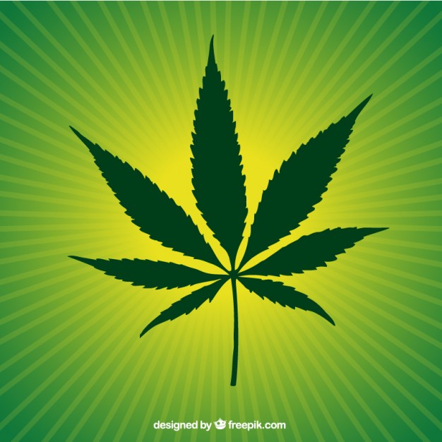 626x626 Marijuana Vectors, Photos And Psd Files Free Download