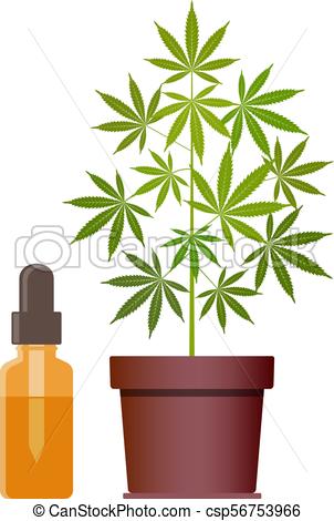 302x470 Marijuana Plant And Dropper With Cbd Oil. Cannabis Oil. Medical
