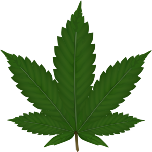 300x300 Marijuana Vector