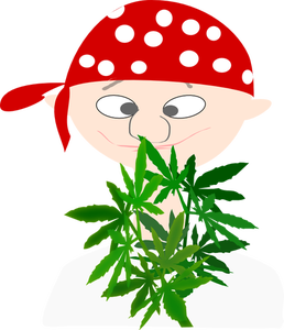 258x300 1675 Free Vector Marijuana Plant Public Domain Vectors