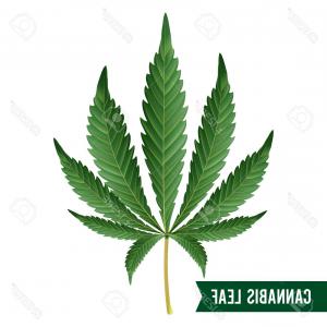 300x300 Stock Illustration Cannabis Leaf Abstract Style Words Medical