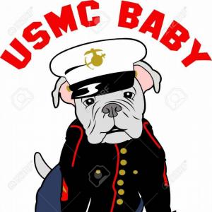 300x300 Modern Marine Corps Logo Vector Art Arenawp