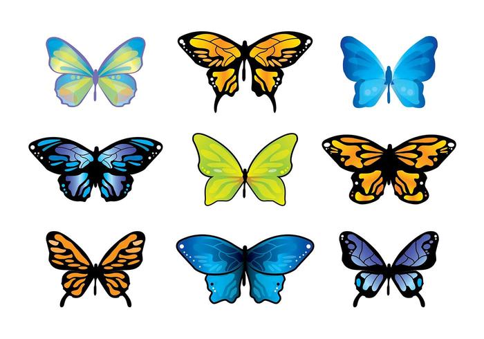 700x490 Mariposa Butterfly Vector Set