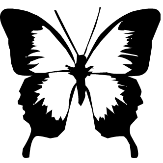 332x332 Vector De Mariposa