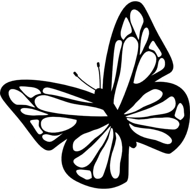 626x626 Butterfly Rotated Vectors, Photos And Psd Files Free Download