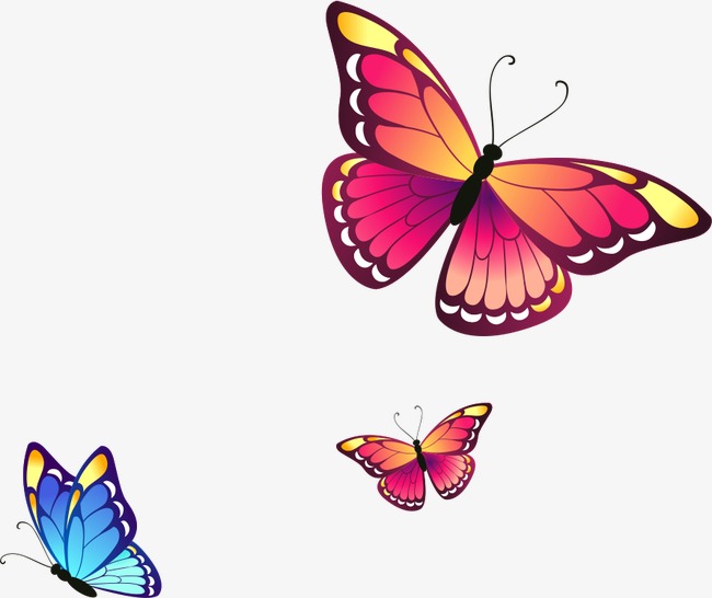 650x546 Fotos De Mariposa Flores Flores Mariposa Png Y Vector Para