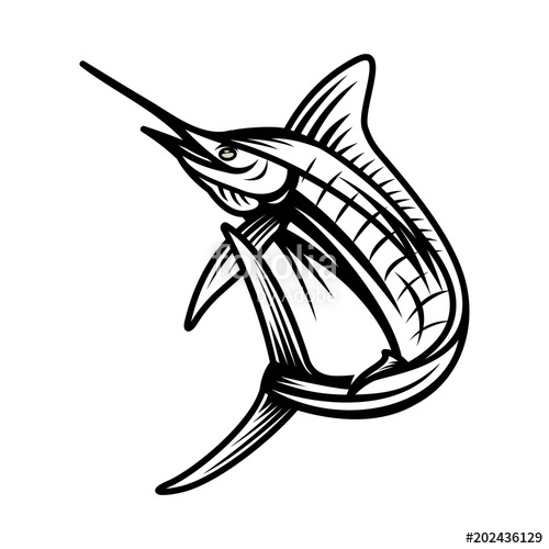 500x500 Marlin, Fish Vector Illustration Template Stock Image And Royalty